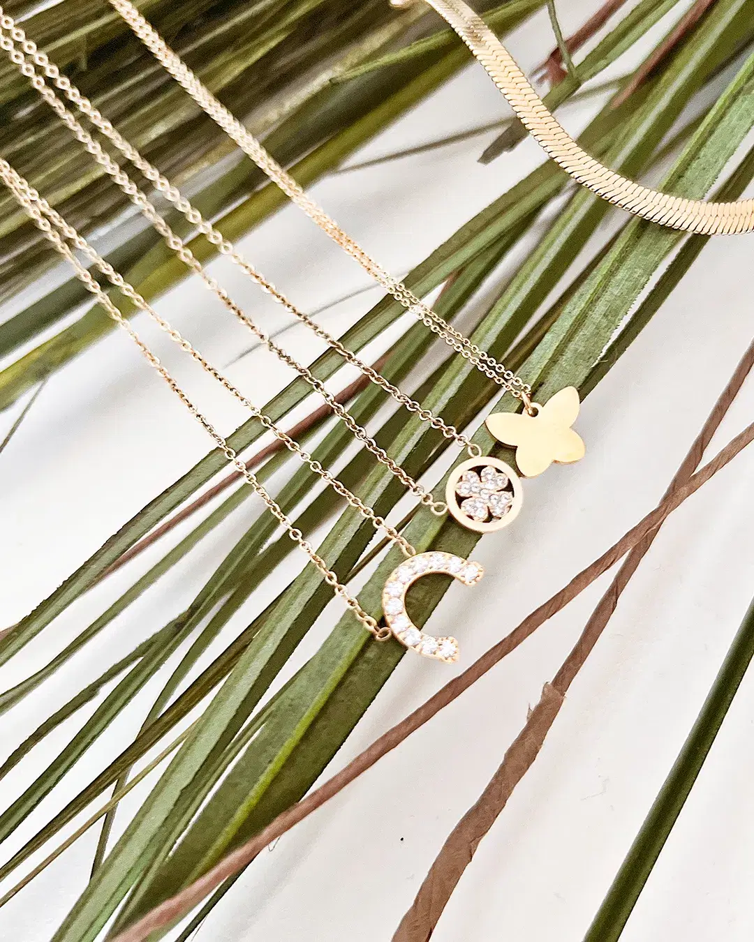 vagoen-categorias-collares
